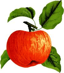 Apfel