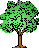 Baum