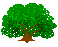 Baum