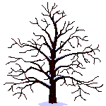 Baum