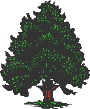 Baum