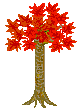 Baum