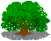Baum