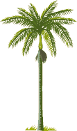 Baum