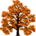 Baum