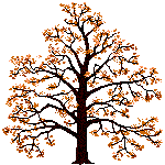 Baum