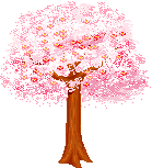Baum
