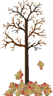 Baum
