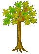 Baum