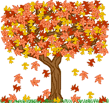Baum