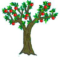 Baum