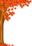 Baum
