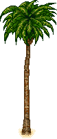 Baum