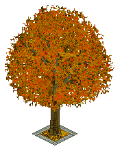 Baum