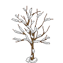 Baum