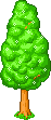 Baum