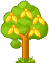 Baum