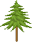 Baum