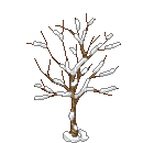 Baum