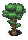Baum