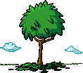 Baum