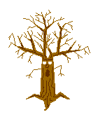 Baum