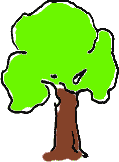 Baum