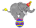 Elefant