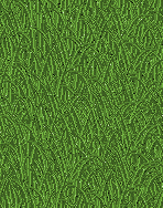 Gras