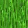 Gras