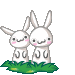Osterhase