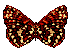 Schmetterling