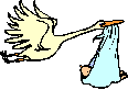Geburt Storch