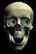 Totenkopf