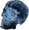 Totenkopf