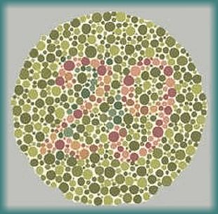 Ishihara: Zahl 29 durch grüne und violette Punkte dargestellt